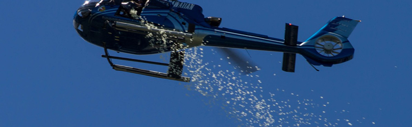 Flower Dropping Helicopter Services in India